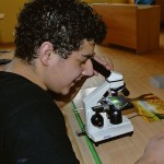 web_skola2