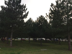 IMG_2180