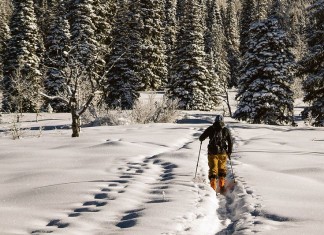 Běžkaři se mohou těšit na kvalitnější a pravidelně udržovanou bílou stopu