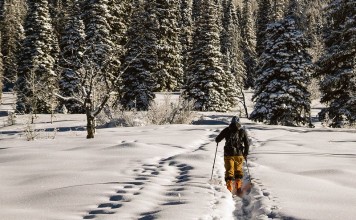 Běžkaři se mohou těšit na kvalitnější a pravidelně udržovanou bílou stopu