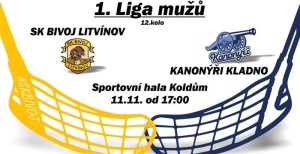 bivoj