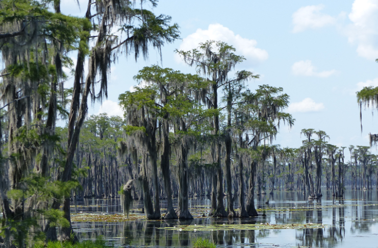Nahlédněte do třetihor