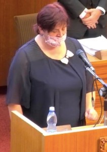 Snímek obrazovky 2020-12-15 v 12.11.11