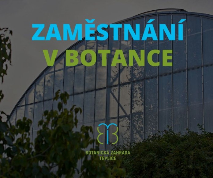 217712697_2993508580894242_4948285215756181443_n