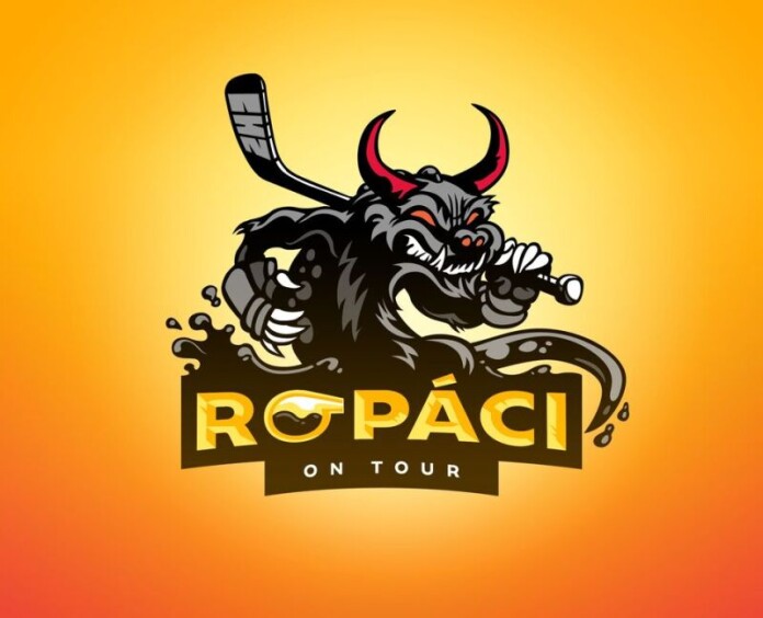 257647744_2022209317931358_5791452804364827697_n