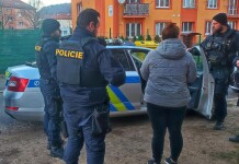 Skončila kontrola ve stovkách, bude se pokračovat i v příštím roce