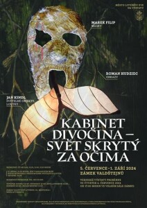 Image (2)