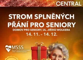 V Centralu startuje 14. listopadu tradice – Vánoční strom pro seniory