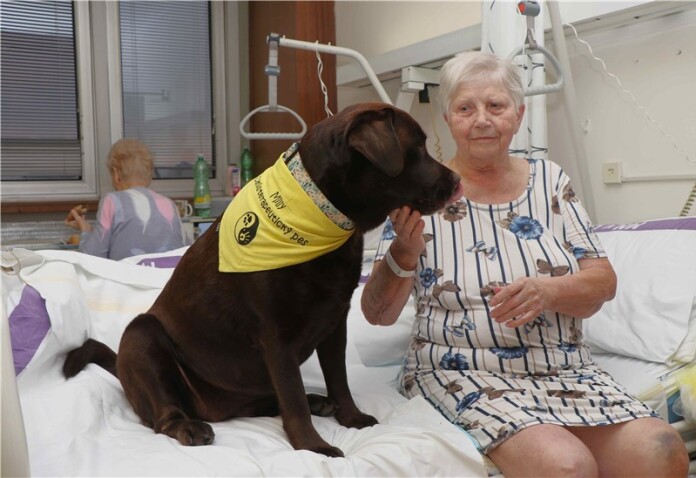 08464d10-ab06-48b0-adf9-0482fd12c603-2_img_5927