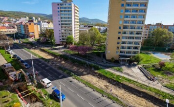 Modernizaci tramvajové trati v Litvínově komplikují chránění mravenci a nepředvídatelné nálezy